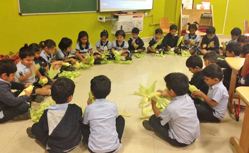 Activities performed by Basic Fundamental Kids